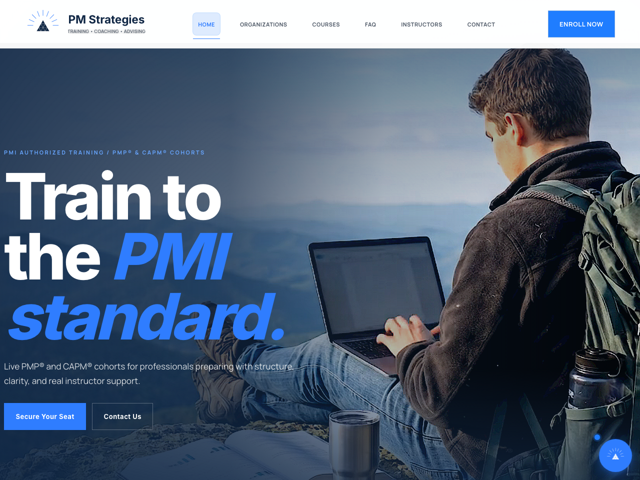 PM Strategies website preview